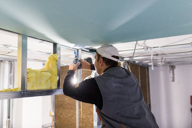 Best Spray Foam Insulation in Burlingame, CA