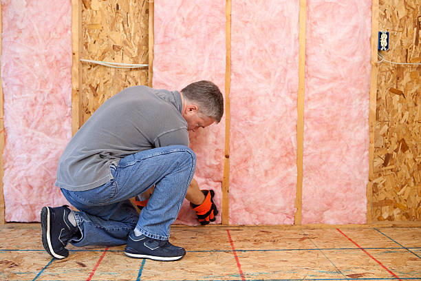 Best Specialized Insulation Services in Burlingame, CA